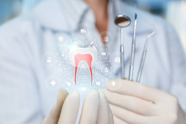 Professional Dental Services in Inez, TX